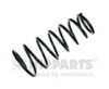 NIPPARTS N5552137 Coil Spring